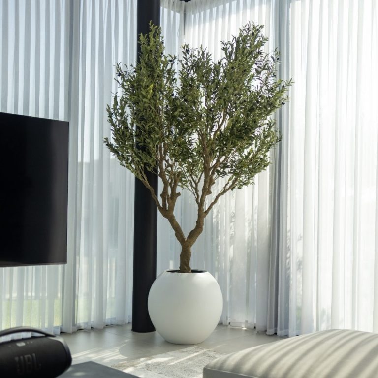 עציצי בוטיק