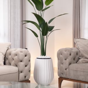 כד Elegance 45 בשילוב ציפור גן עדן מלאכותית