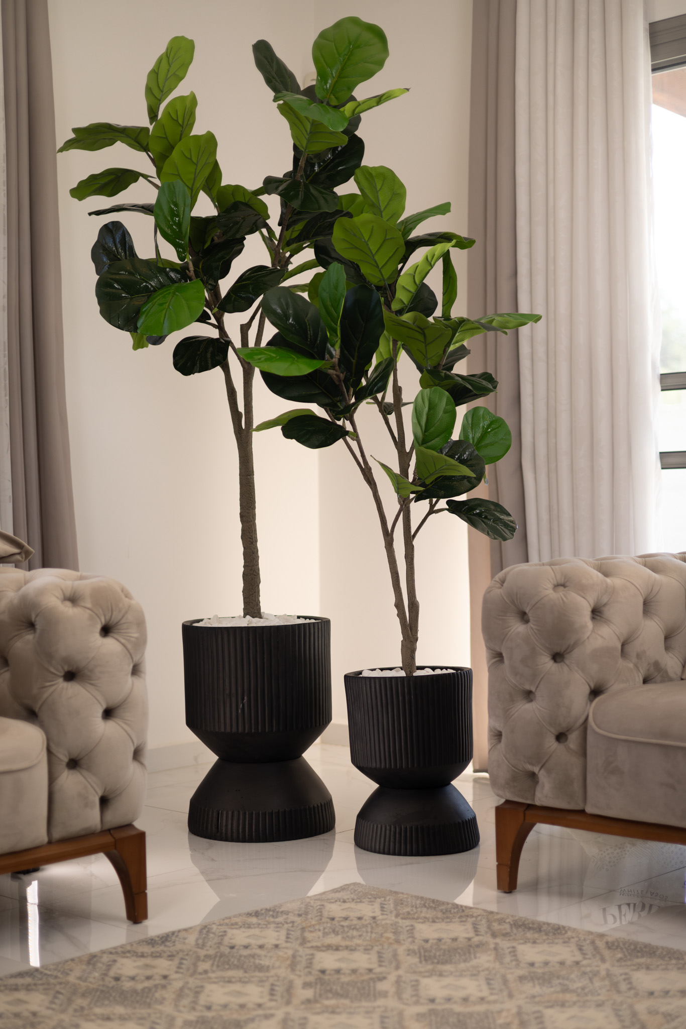 סט זוג פיקוס כינורי מלאכותי בשילוב כדי SOUL MODEL – תמונה 2