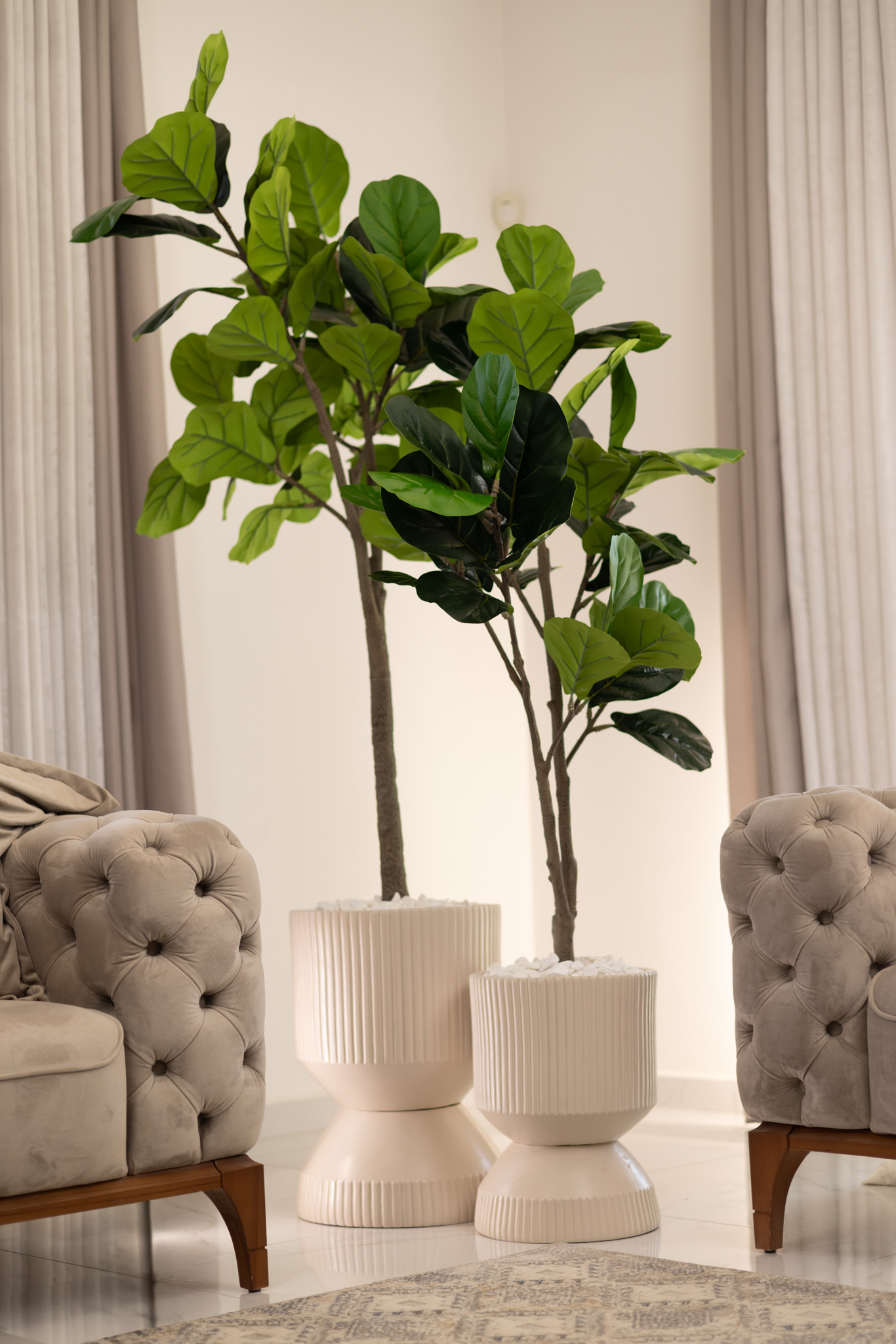 סט זוג פיקוס כינורי מלאכותי בשילוב כדי SOUL MODEL