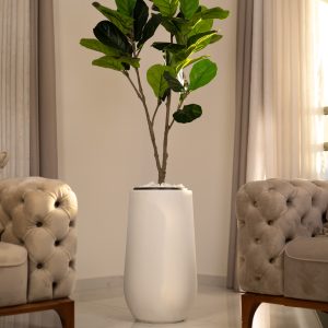 כד Serenity 60 בשילוב פיקוס כינורי קטן