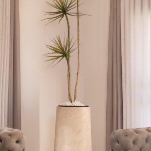 כד Serenity 80 בשילוב דרצנה מלאכותית 3 גזעים