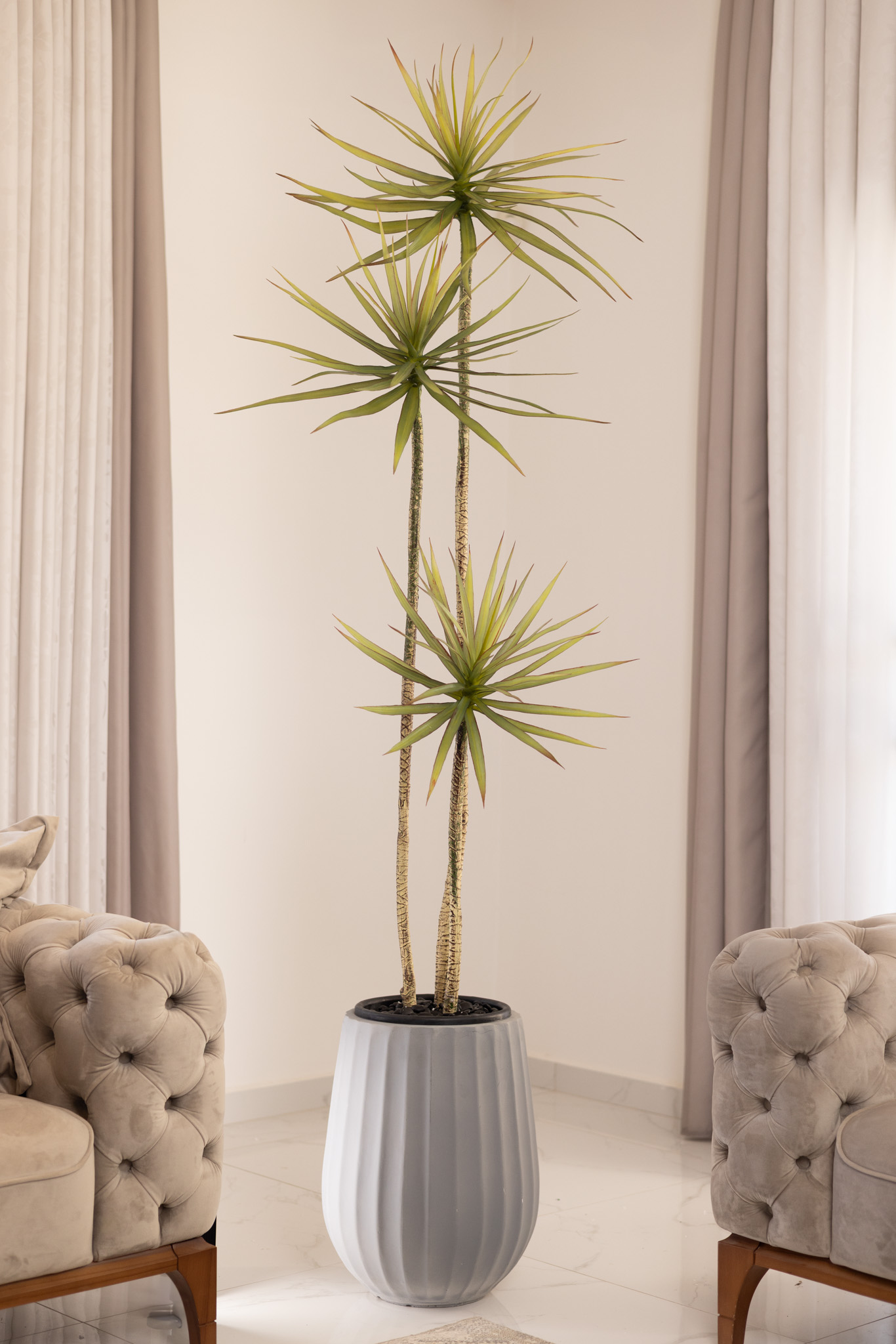 כד Elegance 45 שילוב דרצנה מלאכותית 3 גזעים – תמונה 3