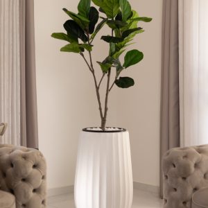 כד Elegance 70 בשילוב פיקוס כינורי מלאכותי קטן