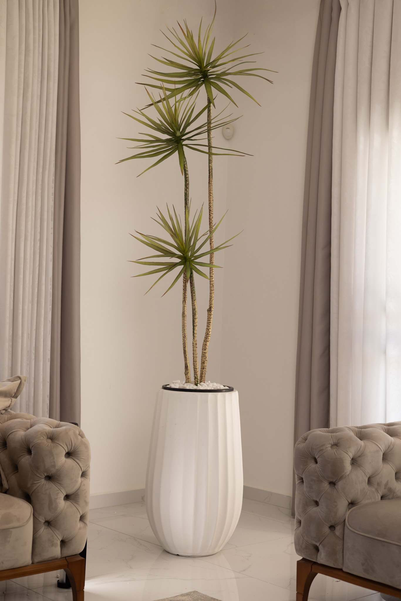 כד Elegance 70 בשילוב דרצנה מלאכותית 3 גזעים – תמונה 3