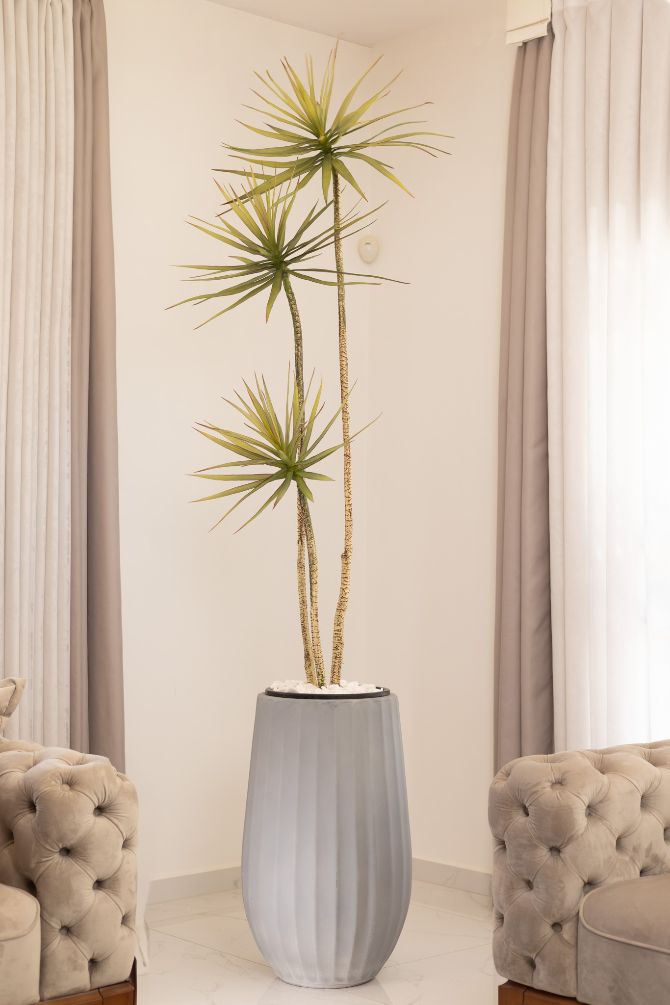 כד Elegance 70 בשילוב דרצנה מלאכותית 3 גזעים – תמונה 2