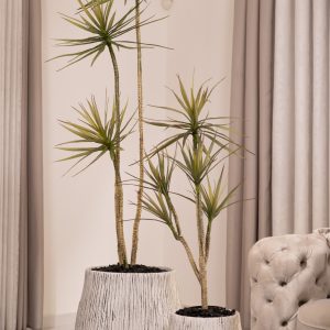 סט זוג דרצנה מלאכותית ודרצנה מלאכותית 3 גזעים בשילוב כדי Stone Model